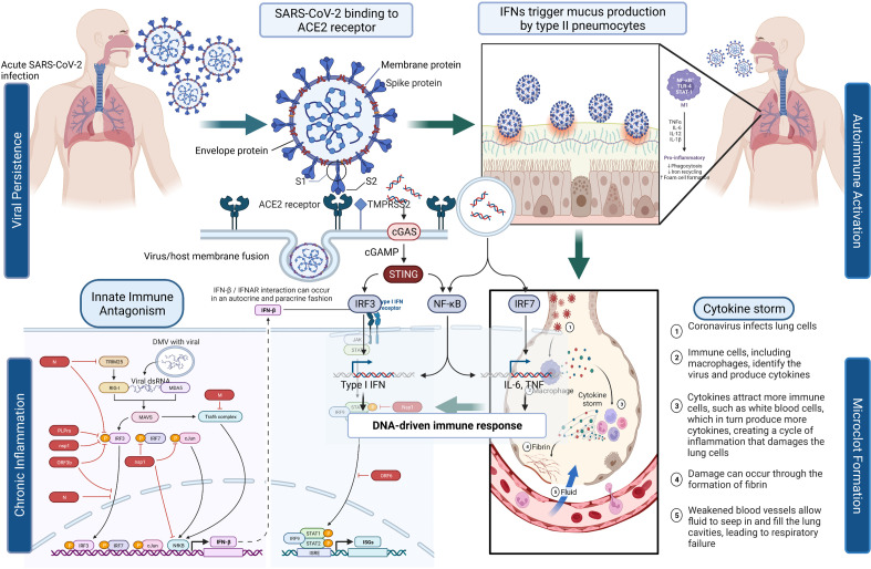 Click to view full size elife-86002-fig1