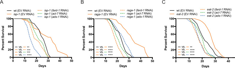 Click to view full size elife-82210-fig4