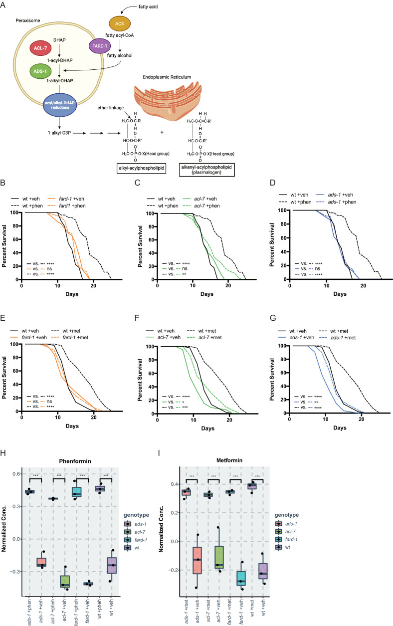 Click to view full size elife-82210-fig1