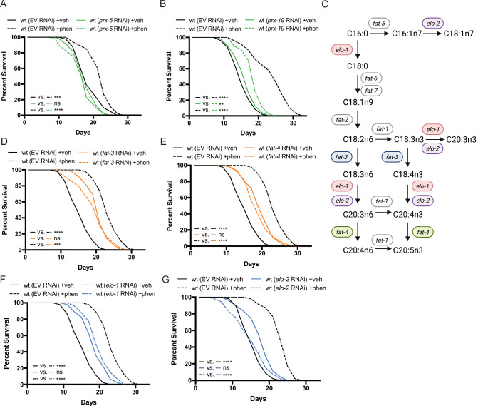 Click to view full size elife-82210-fig3