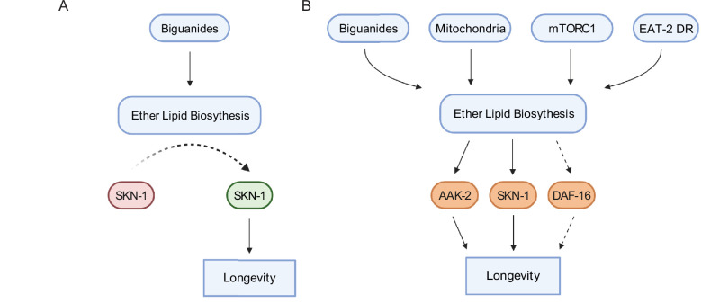 Click to view full size elife-82210-fig7