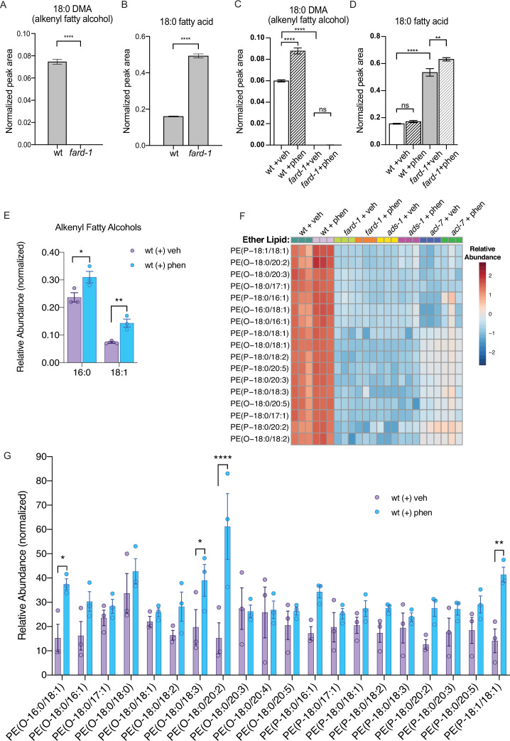 Click to view full size elife-82210-fig2