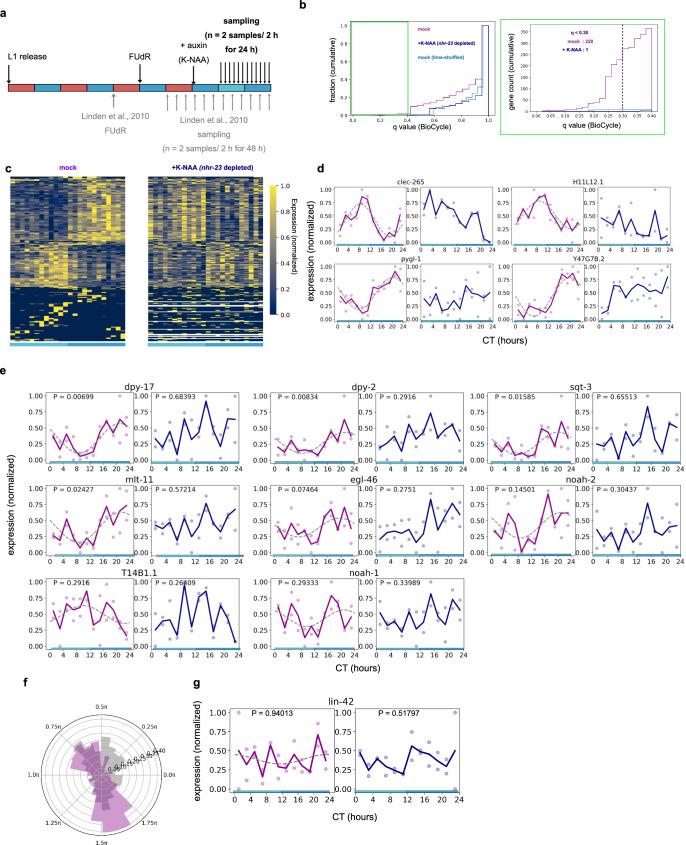 Click to view full size 42003_2024_5894_Fig3_HTML