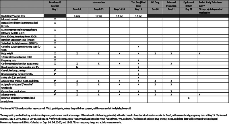 Schedule of study activities Schedule of study activities