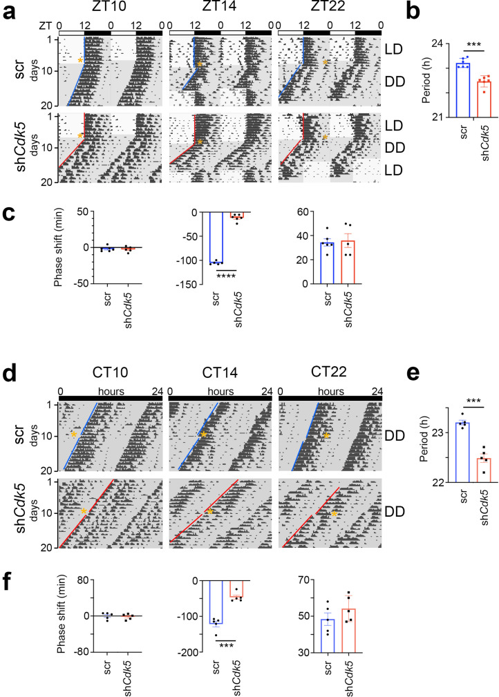 Click to view full size elife-97029-fig1