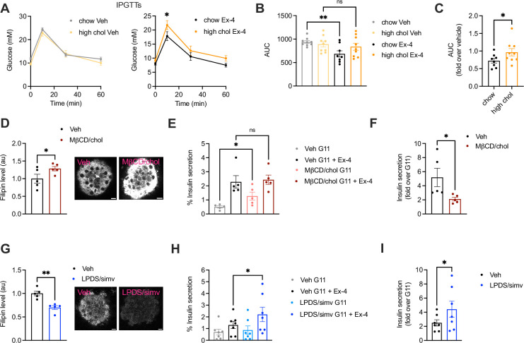 Click to view full size elife-101011-fig1