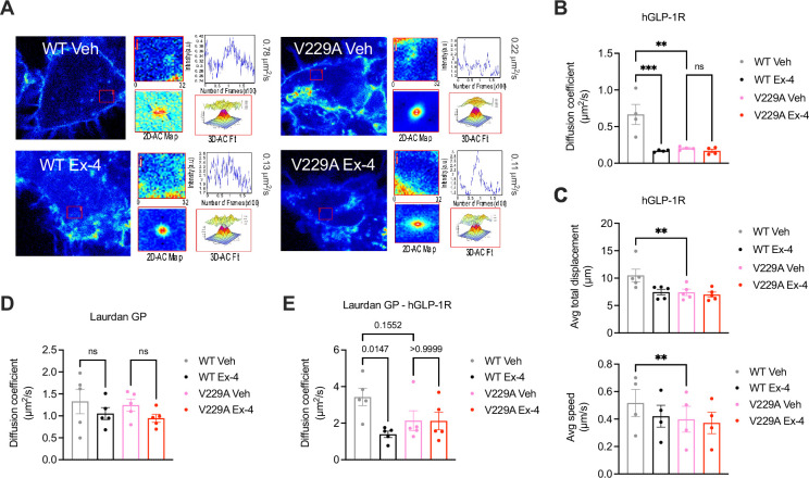 Click to view full size elife-101011-fig4