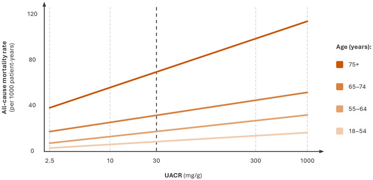 Click to view full size JOIM-297-460-g004