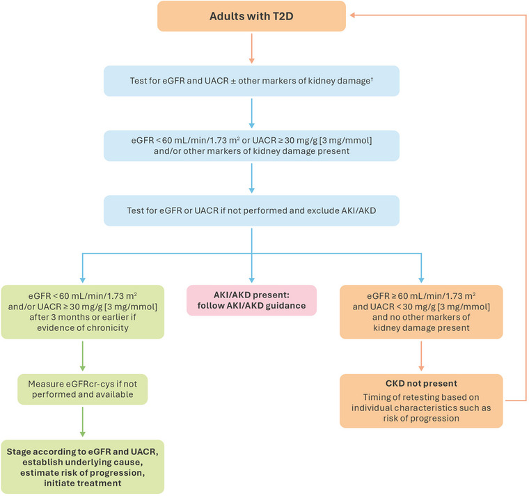 Click to view full size JOIM-297-460-g003
