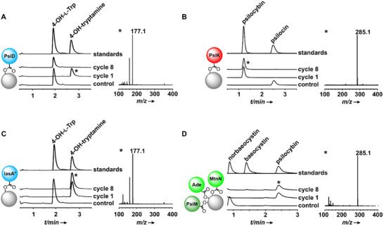 Click to view full size CHEM-31-e202501037-g002