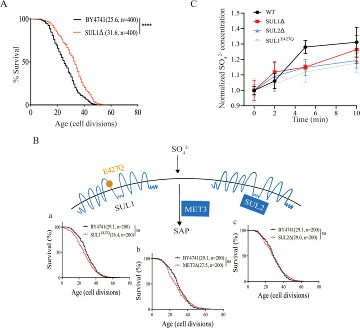 Click to view full size elife-94609-fig1