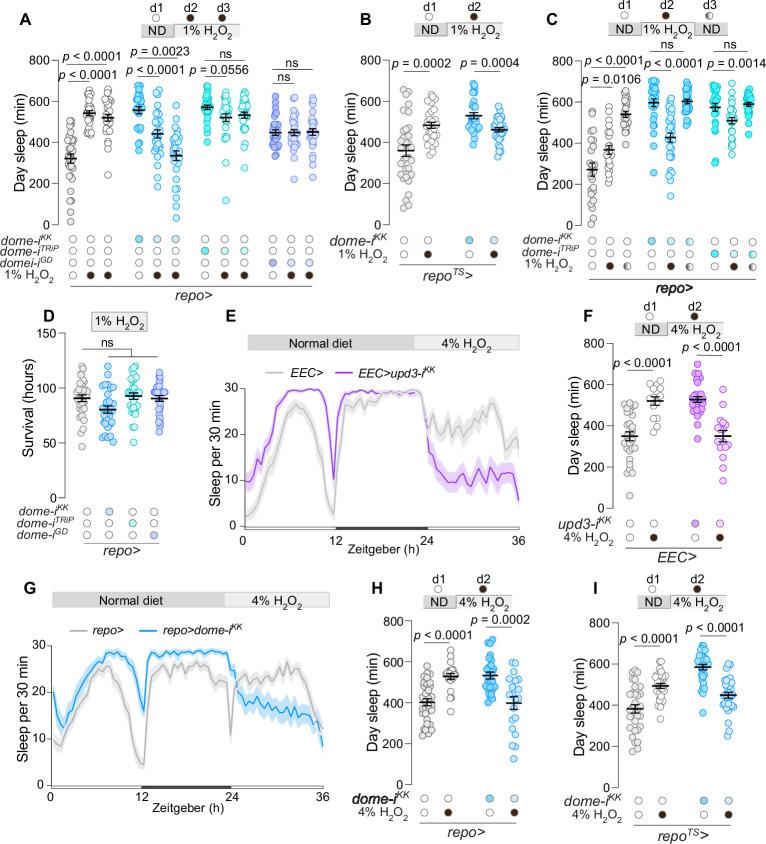 Click to view full size elife-99999-fig5