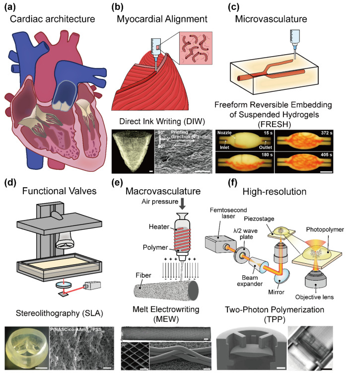Click to view full size polymers-17-02337-g001