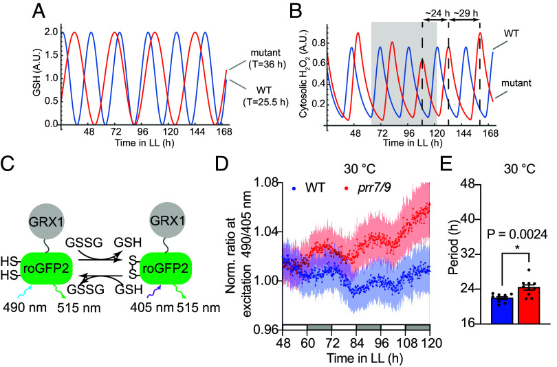 Click to view full size pnas.2519251122fig02