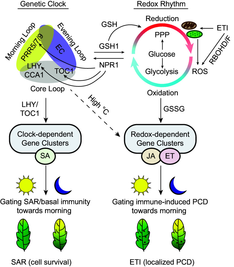 Click to view full size pnas.2519251122fig06