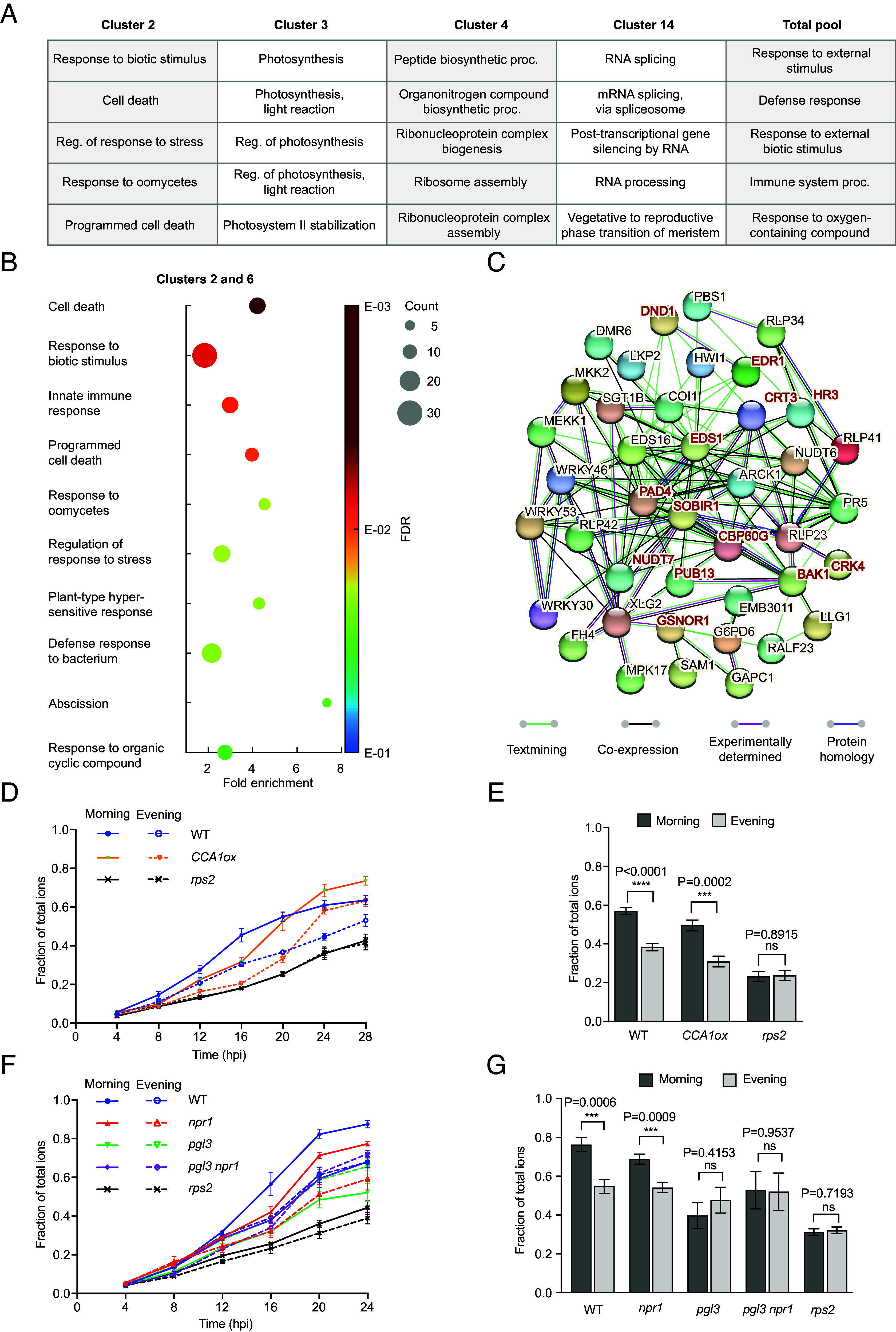 Click to view full size pnas.2519251122fig04