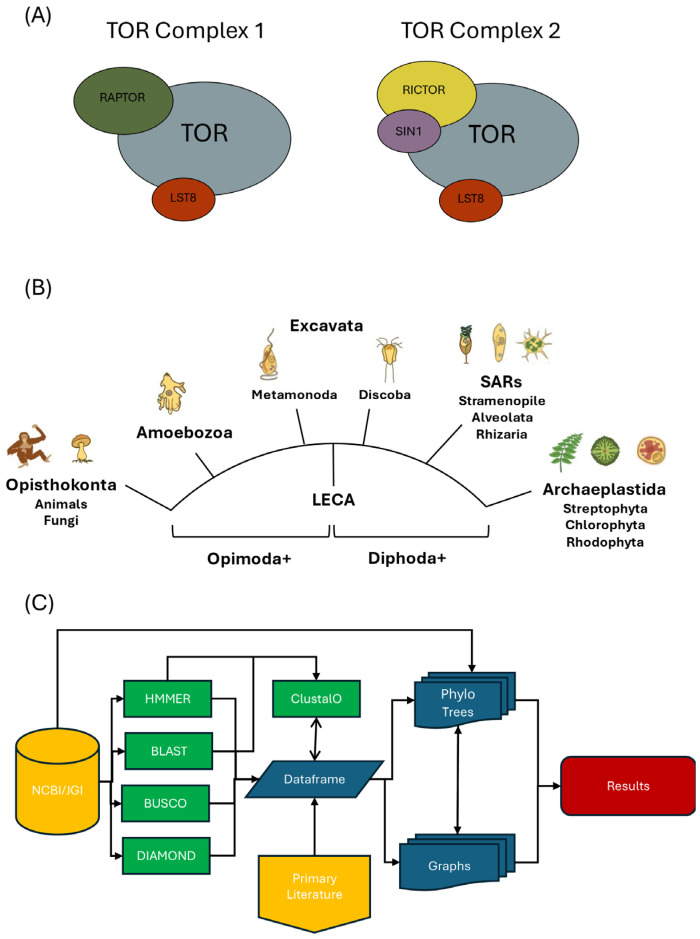 Click to view full size biomolecules-15-01295-g001