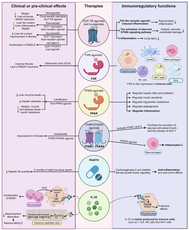 Click to view full size 41423_2025_1307_Fig5_HTML