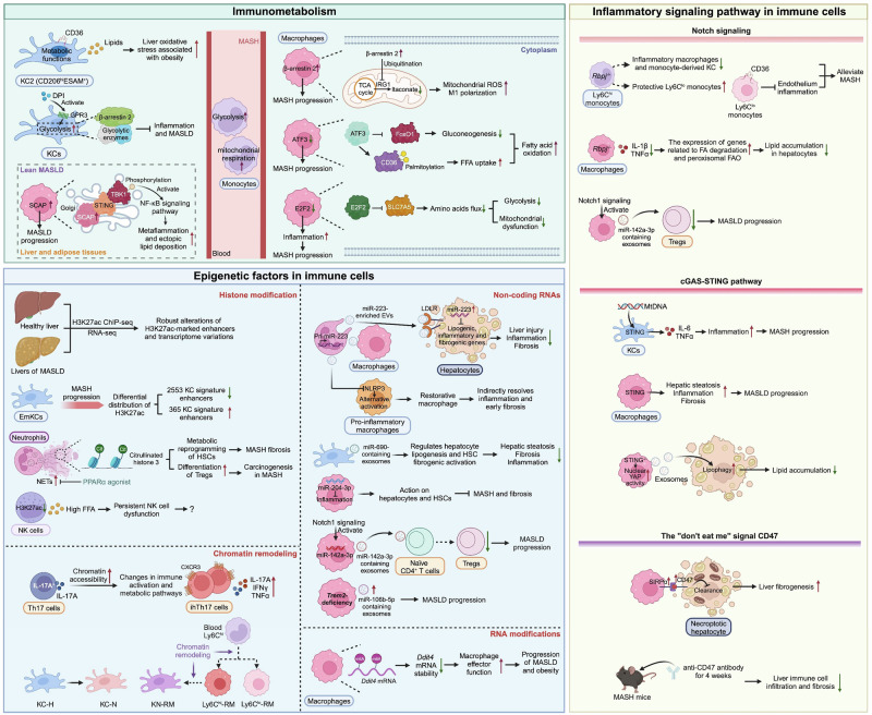 Click to view full size 41423_2025_1307_Fig4_HTML