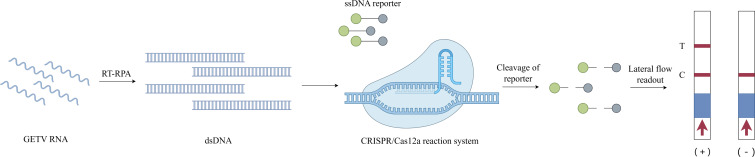 Click to view full size peerj-13-20119-g001