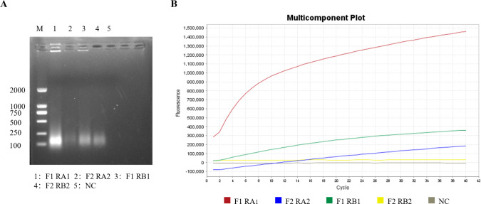 Click to view full size peerj-13-20119-g002