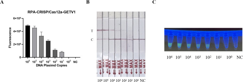 Click to view full size peerj-13-20119-g003
