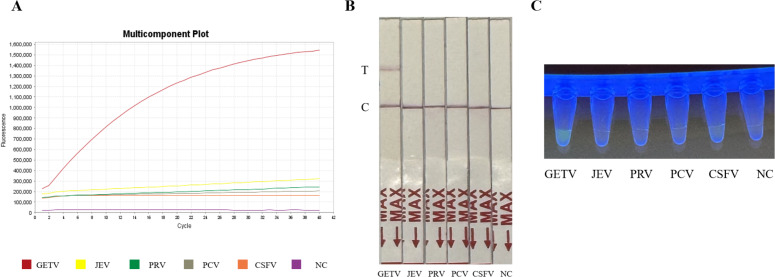 Click to view full size peerj-13-20119-g004