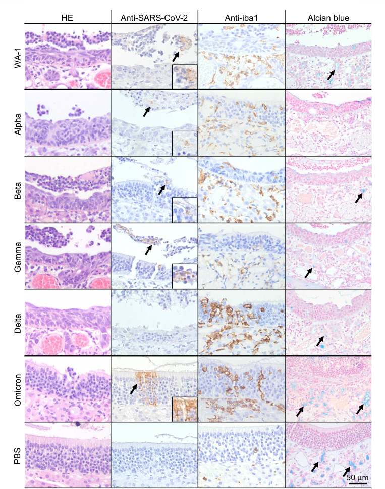 Click to view full size spectrum.00755-25.f002