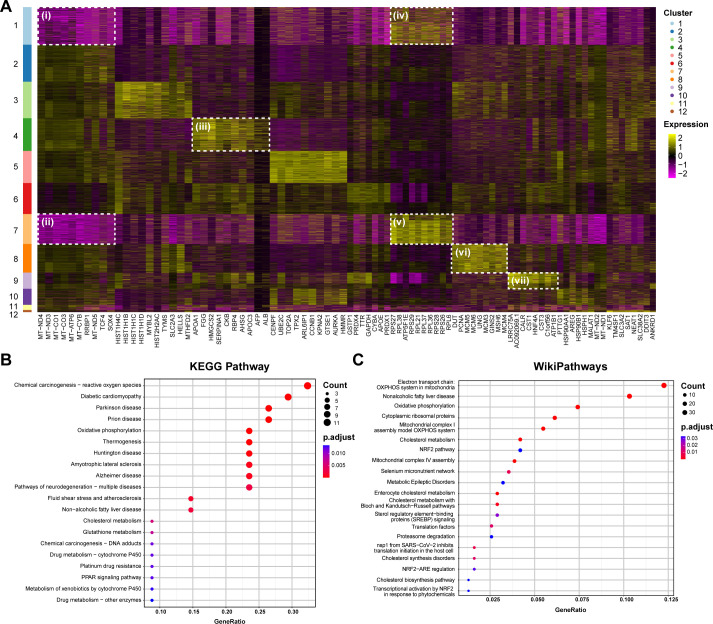 Click to view full size spectrum.00381-25.f005