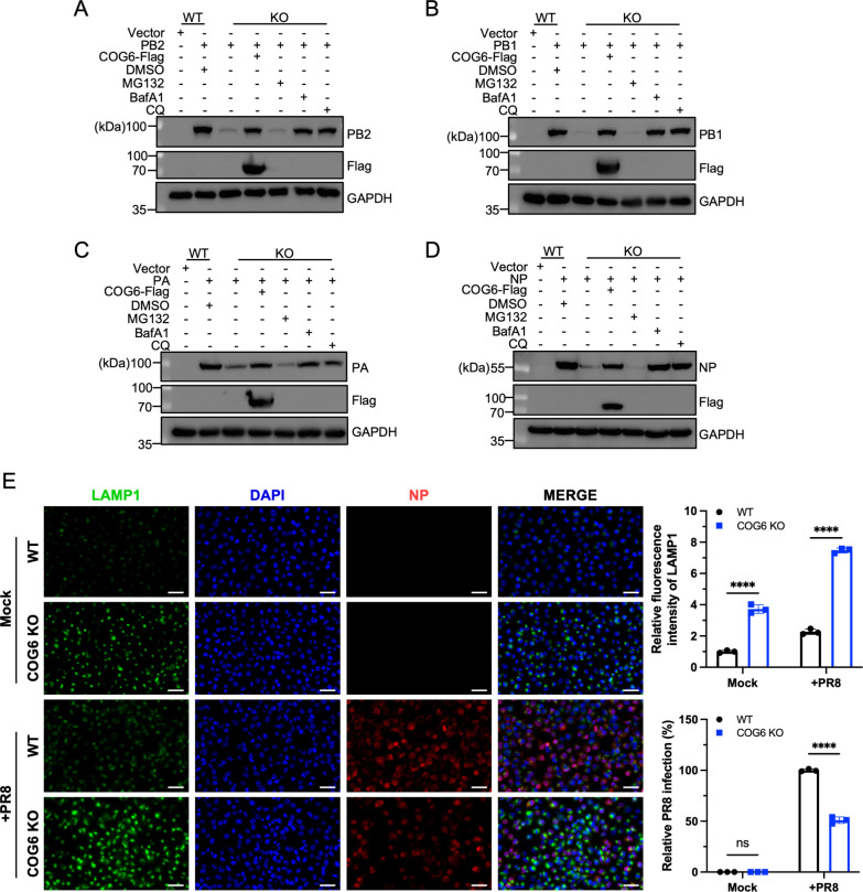 Click to view full size spectrum.01362-25.f005