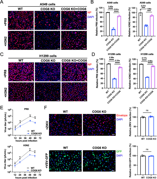 Click to view full size spectrum.01362-25.f002