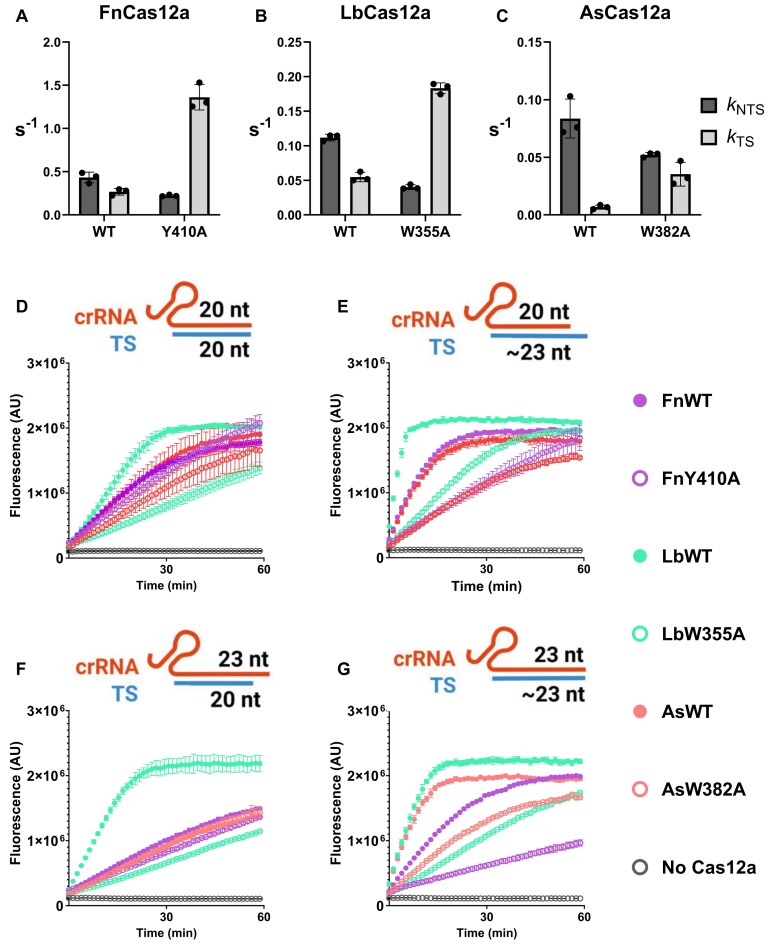 Click to view full size gkaf988fig2