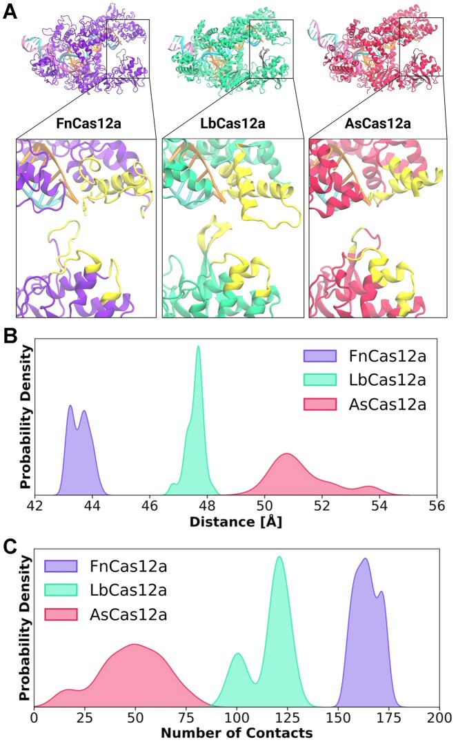 Click to view full size gkaf988fig5
