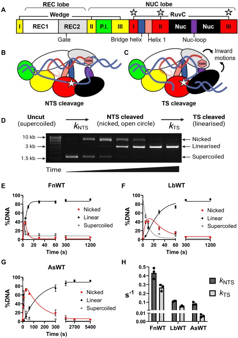 Click to view full size gkaf988fig1