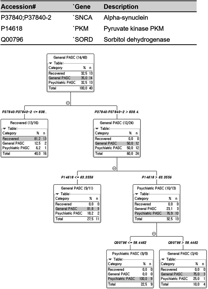 Click to view full size 41398_2025_3590_Fig4_HTML