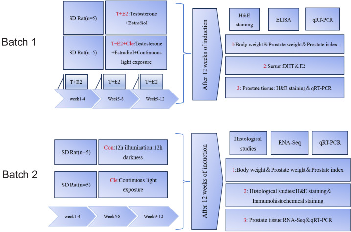 Click to view full size peerj-13-20173-g001
