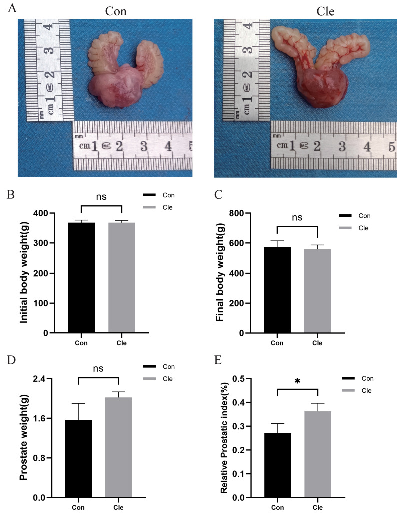 Click to view full size peerj-13-20173-g002