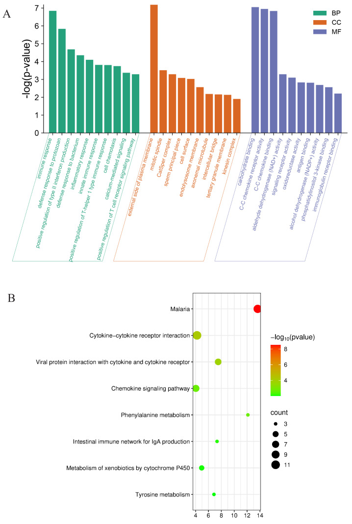 Click to view full size peerj-13-20173-g005