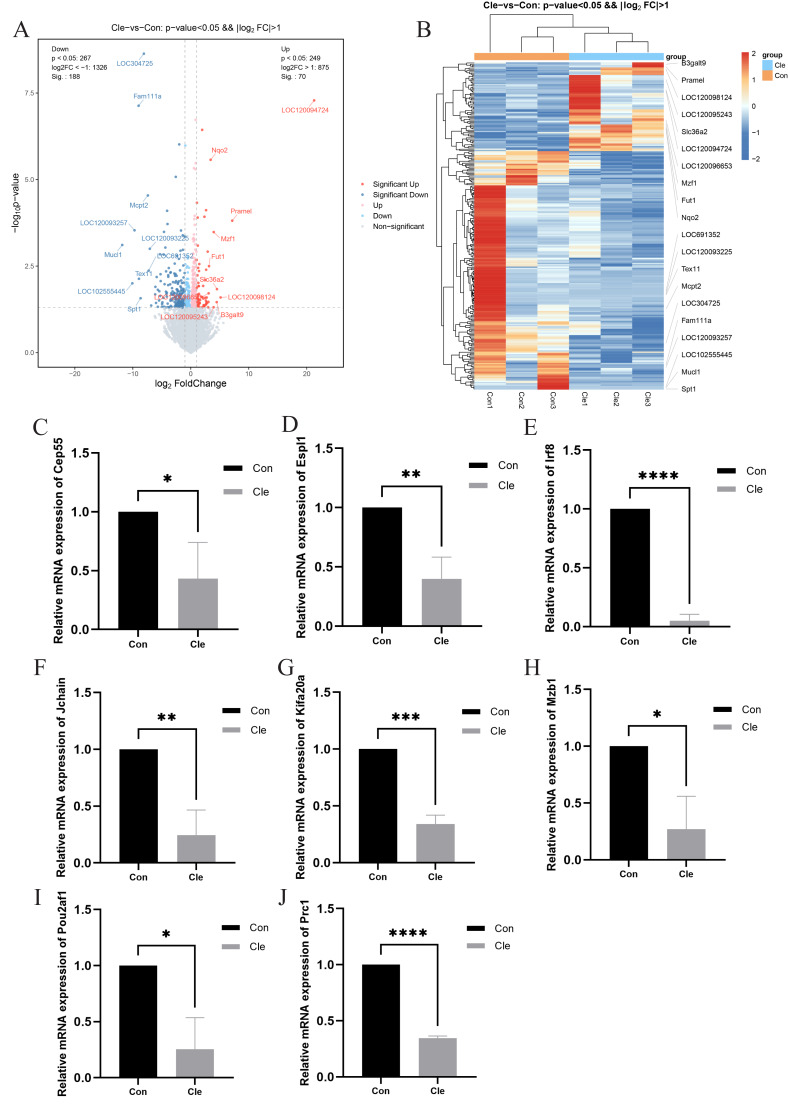 Click to view full size peerj-13-20173-g004