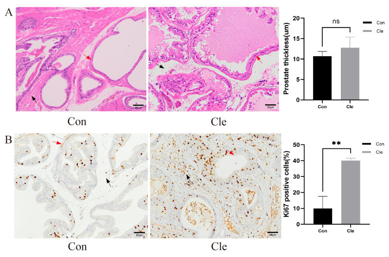 Click to view full size peerj-13-20173-g003
