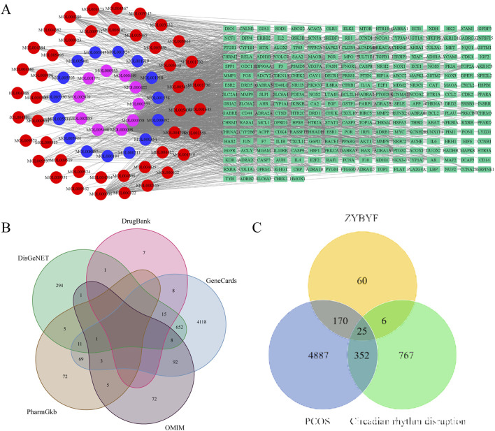 Click to view full size fgene-16-1658812-g001