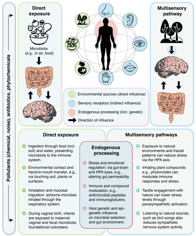 Click to view full size msystems.01107-25.f001