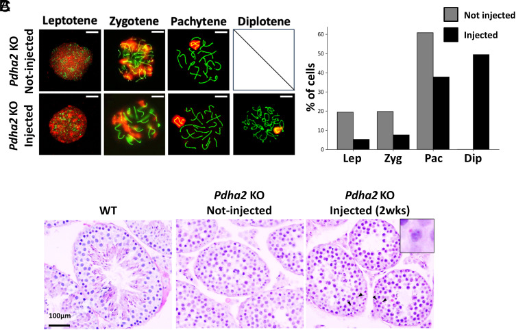 Click to view full size pnas.2516573122fig03
