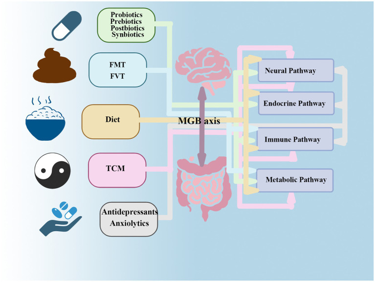 Click to view full size fmicb-16-1664800-g003