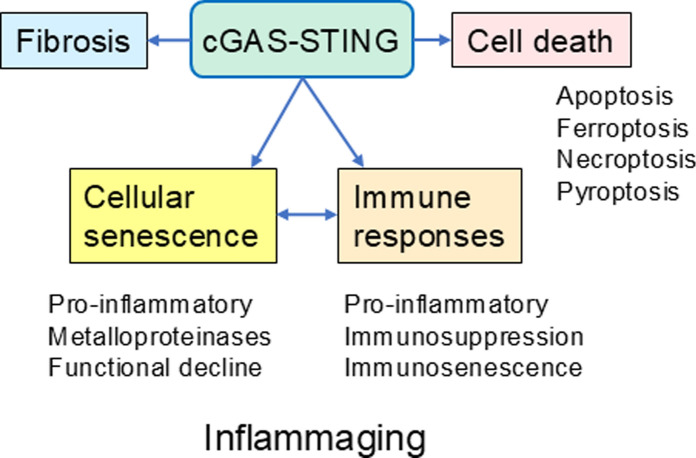 Click to view full size 10522_2025_10353_Fig2_HTML
