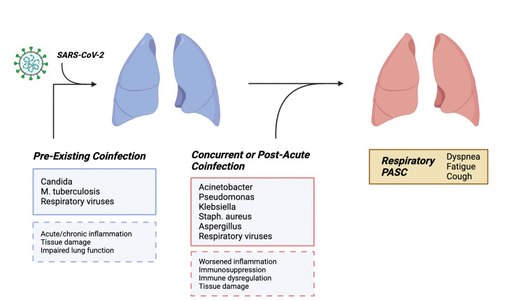 Click to view full size elife-106308-fig3
