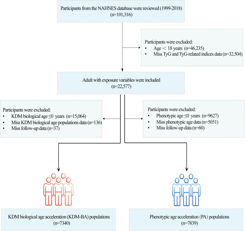 Click to view full size medi-104-e46036-g001