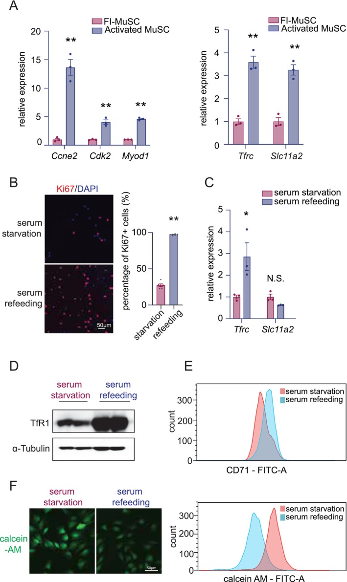 Click to view full size JCSM-16-e70124-g003