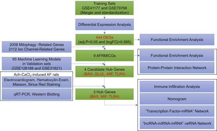 Click to view full size fphys-16-1687578-g001