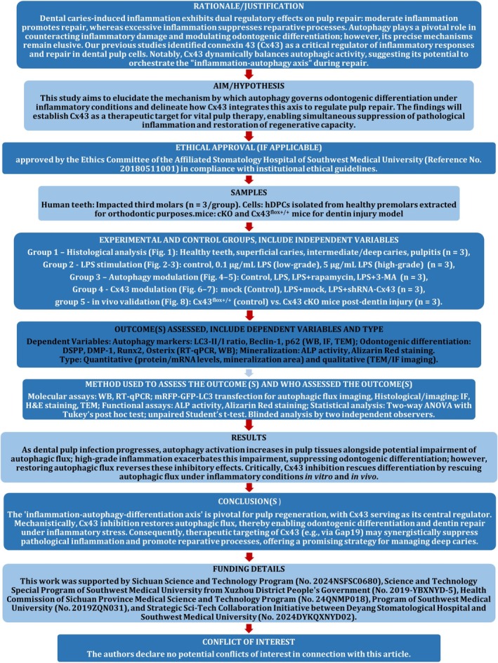 Click to view full size IEJ-59-134-g008
